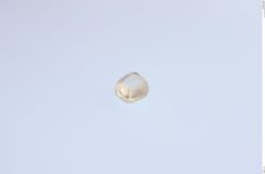 Foto von Diamant (NHMW-MIN-Ab925)
